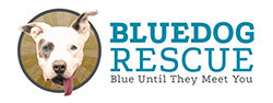 Blue Dog Rescue